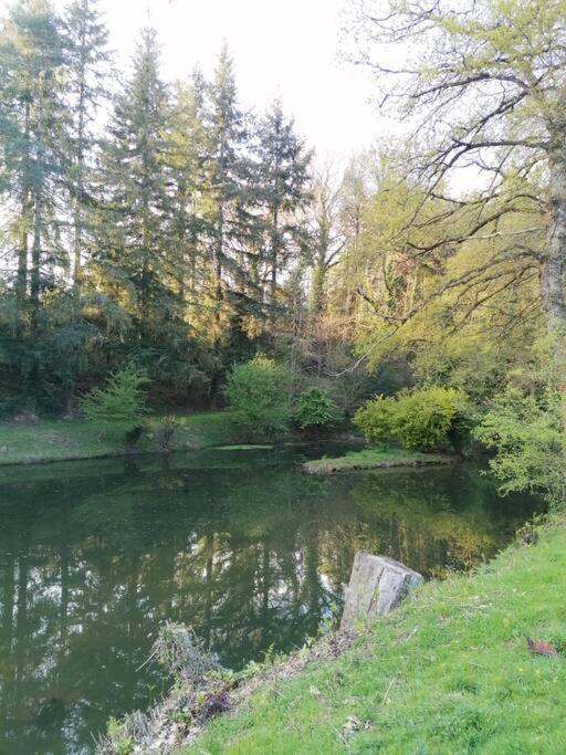 Chalet En Pleine Nature Au Bord D'Un Etang Lanvallay Exterior photo