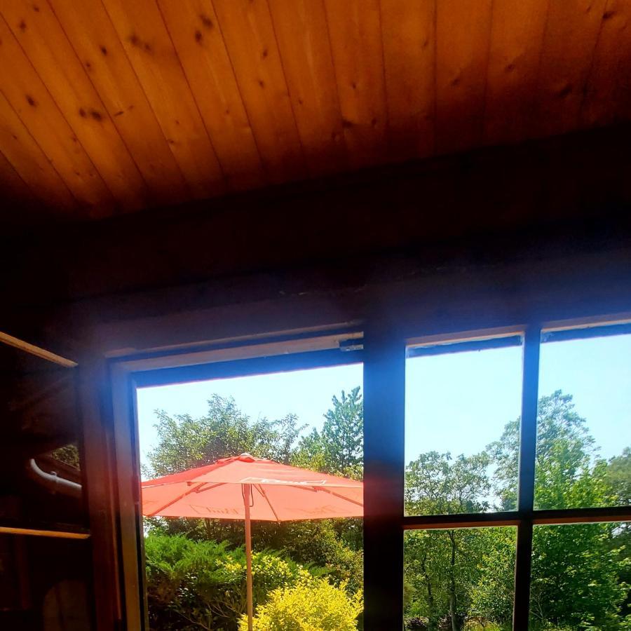 Chalet En Pleine Nature Au Bord D'Un Etang Lanvallay Exterior photo